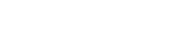 Two Fish Technology logo