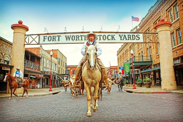Fort Worth Stockyards cattle drive with cowboys