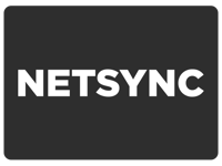 Branded Mayhem client logo - Netsync