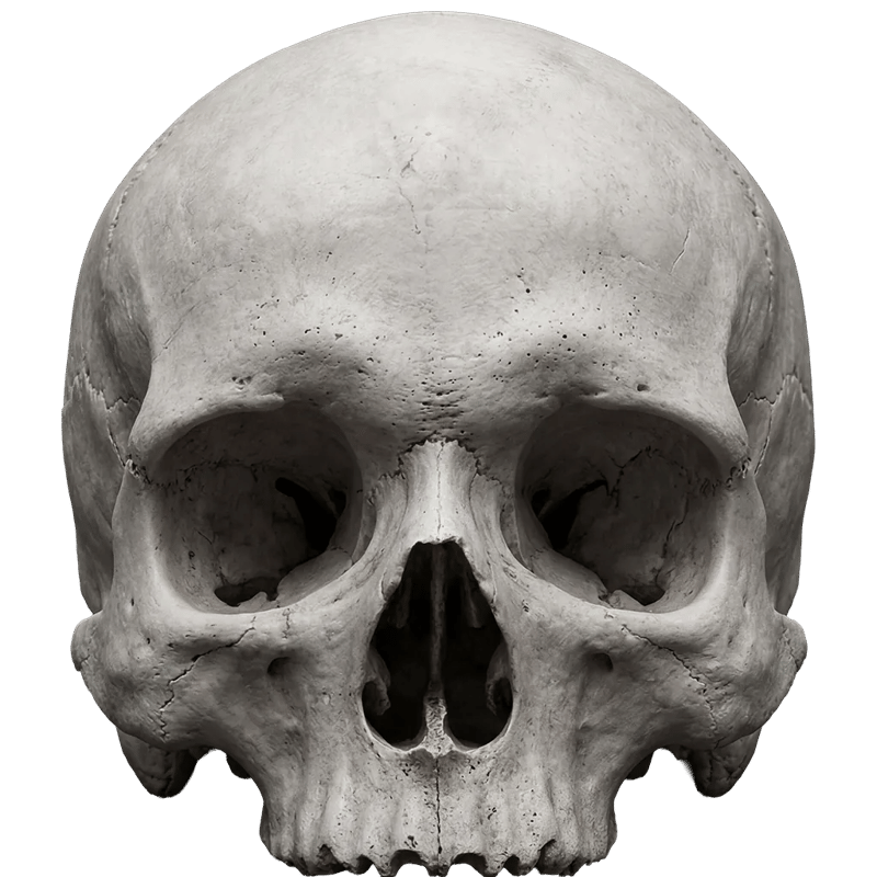 Branded Mayhem skull mascot - old vs new comparison